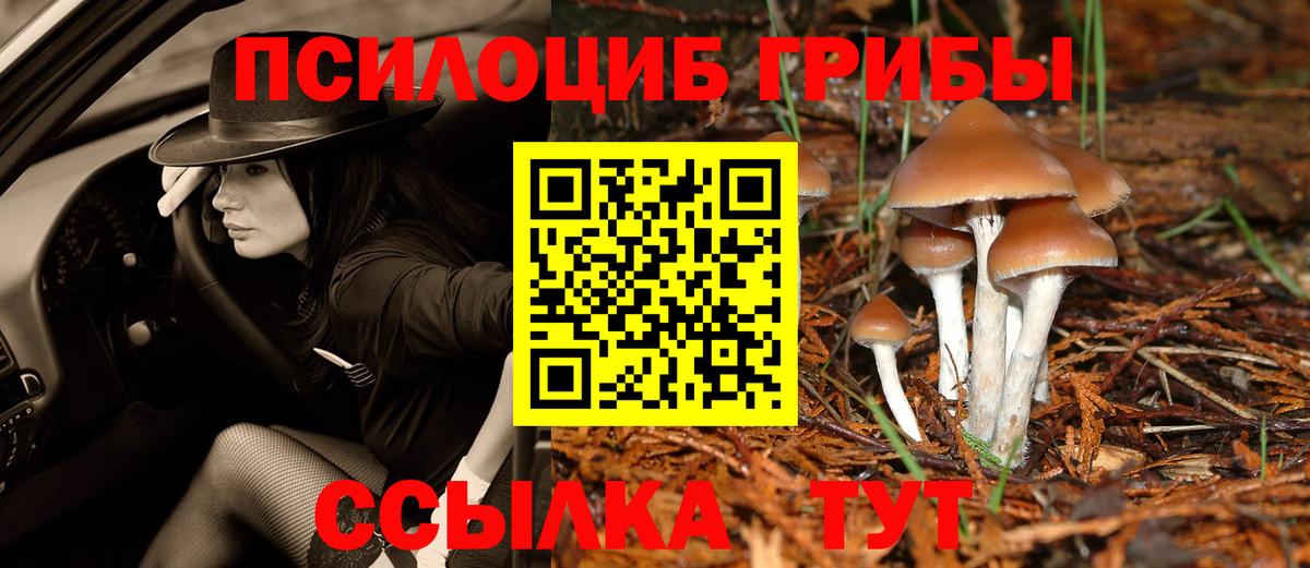 Красноуфимск  Галлюциногенные грибы Magic Shrooms  Вход с VPN 